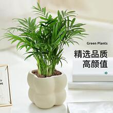����Ҭ�����Ը��F�Pβ��С�辰�͏d�k���҃ȿ͏d�����ļ��^�~ֲ��