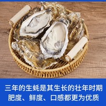 �a������r��������]50�����rĵϠ�΂�5����򺺣�rˮ�a�r�����l