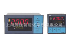 DY2000 DYII  DY21FE9双路信号输入数字控制仪