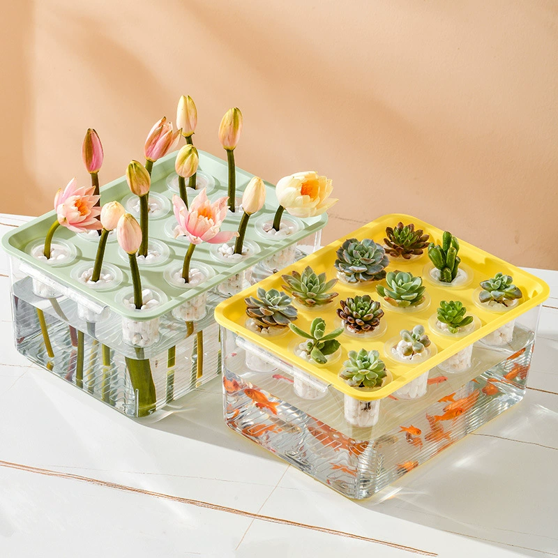 Прозрачные прямоугольные пластиковые столешницы микроландшафтные аквариумы для воды оздоровительные растения в горшках для выращивания домашних овощей