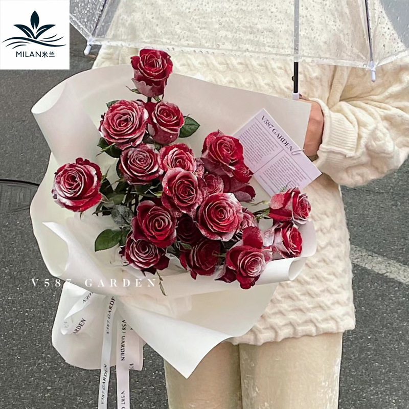 Ramo de Navidad spray de nieve Rosa Flor de aerosol floral aerosol pintado a mano spray de color copo de nieve aerosol colorante