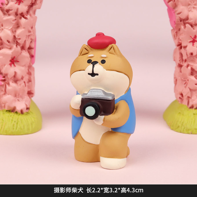 FZ2246-7-사진작가 시바견