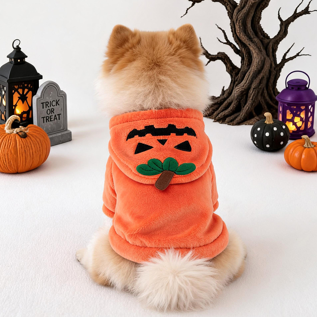 Ropa para perros y gatos PETCIRCLE, colección de otoño e invierno, forrada de lana, cálida, con un lindo diseño transformable.