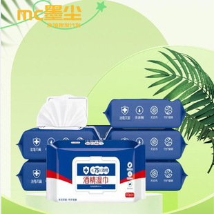 75% Alcohol Disinfectant Wipes for Sterilization and Antibacterial Use, Small Packages for Children and Adults, Student Wet Wipes, Household Antibacterial Wipes
