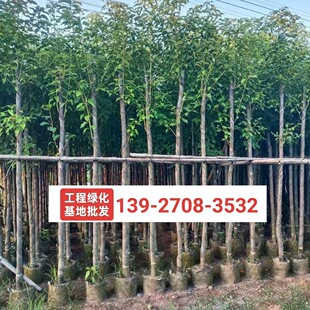 ������3-4-5���ִ����������е����ľ�����G��������ľ����