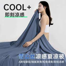 2025新款A类雪山丝凉感丝夏凉被夏凉被空调被学生宿舍用被子水洗1