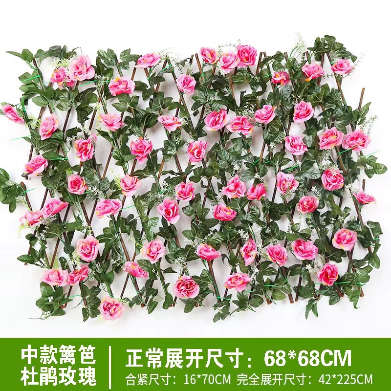 진저 0.7m 진달래 장미