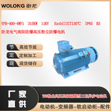 YFB-400-4WF1  315KW  11KV ExtbIIICT130��  IP65 �߉��ۉm늙C