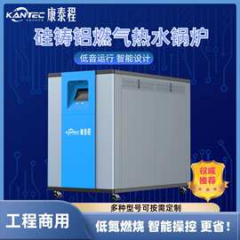康泰程燃气热水锅炉商用天然气静音省气支持定制80-2800KW导热油