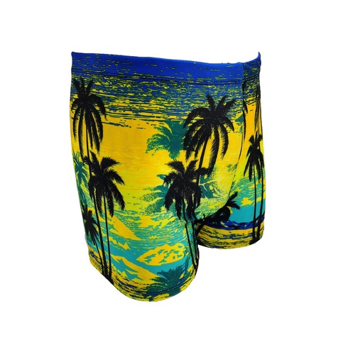 Beach vacation swim trunks print men's swimwear set fashion high-end swim trunks men's hot spring swim shorts