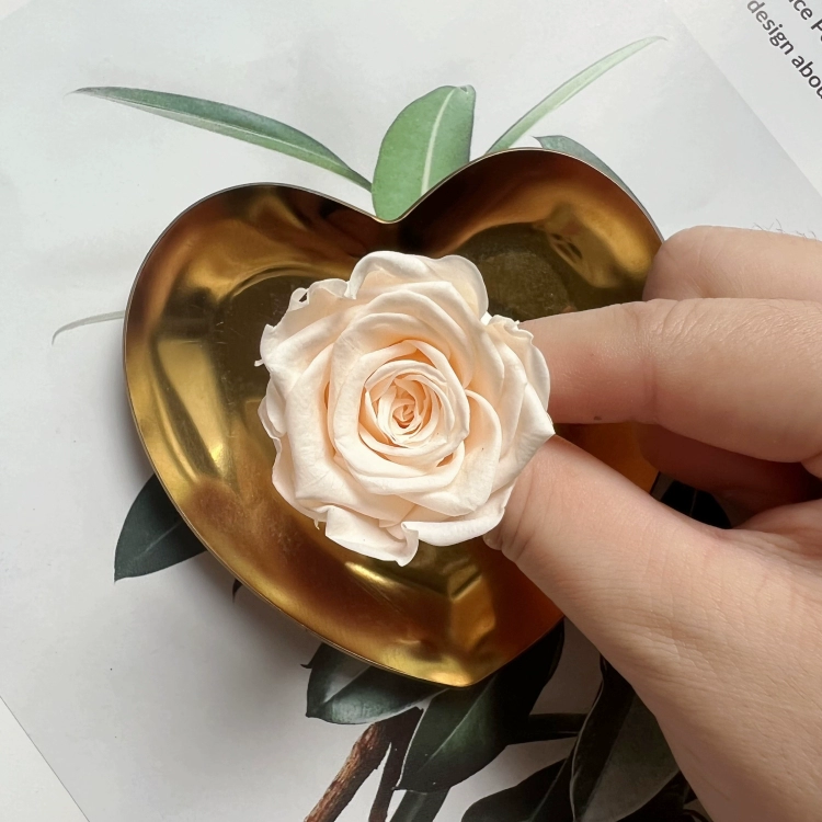 Материалы для DIY вечной жизни цветка, класс B, голова вечной розы 2–3 см, маленький брелок-розочка с основным материалом