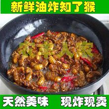 金蝉知了猴爬蚱爬叉河北果园蝉蛹唐僧肉新鲜散装