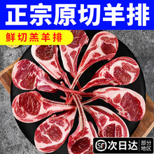 正宗法式羊排原切战斧肋排新鲜羊肉5斤烧烤烤肉食材半成品可商用