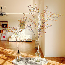 ���ļ��ձ����R���ͷ���Gֲ�R��ľ��ֲ���쾰��������b�����