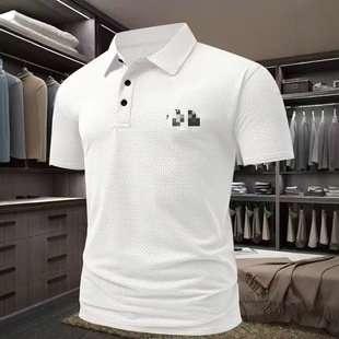 2026�ļ��¿���ʿ�ٸ�͸�����Polo�������̄����e���I���b