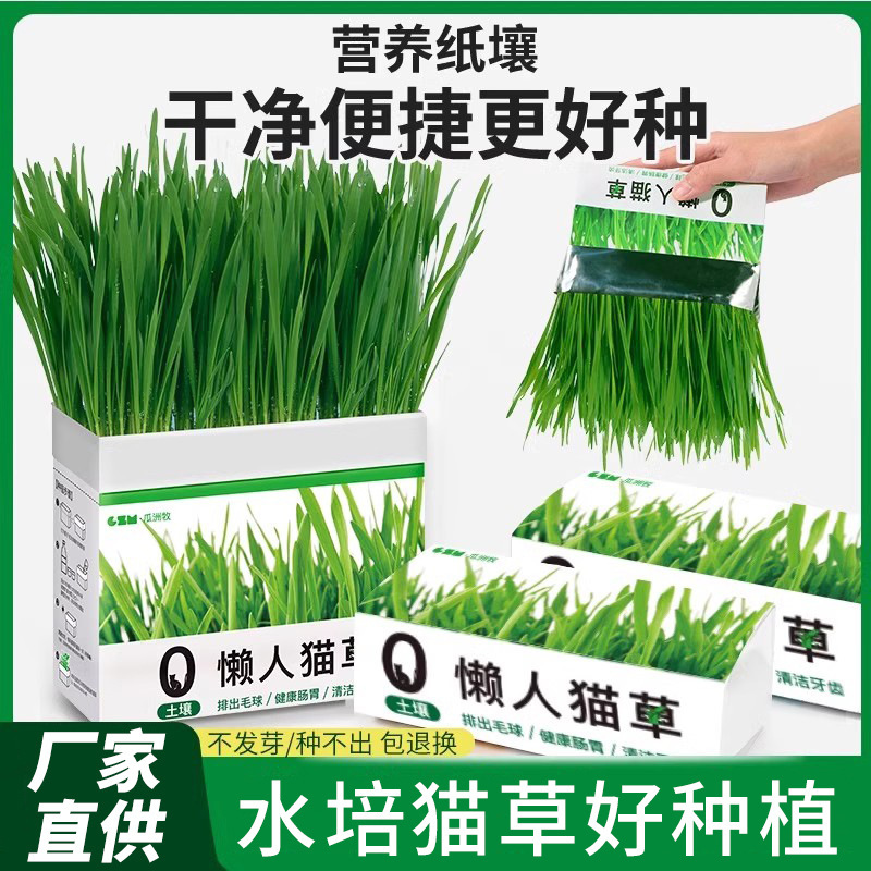 Cat Grass Winter Potted Hair Ball Slices Lazy Seeds Hair Ball Removal Freeze-Dried Capsuless Cat Snacks Cat Catnip