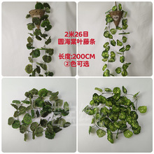 2��26Ŀ�A������ �G�}�~�������溣���ٗl��cֲ����ܻ����b�