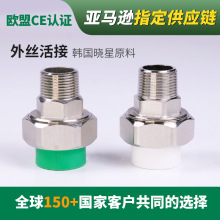 ppr水管外丝活接ppr配件4分6分1寸家装工程内外全铜丝ppr给水管