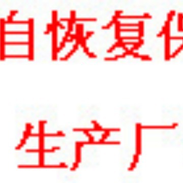 0603L010 力特Littelfuse  贴片自恢复保险丝 1.6*0.8MM 原装