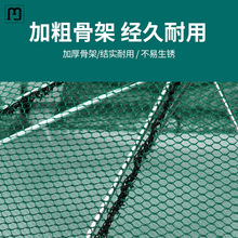 昌余折叠捕虾网捕鱼笼只进不出黄鳝龙虾网笼虾笼伞型渔笼鱼网渔网