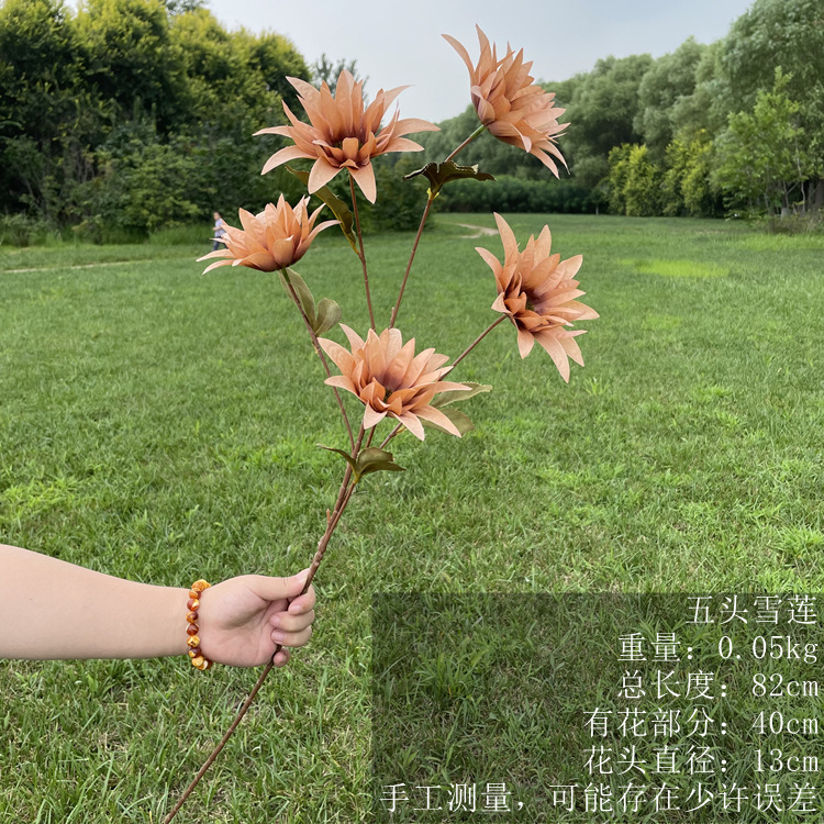 mmexport1628927329838_副本