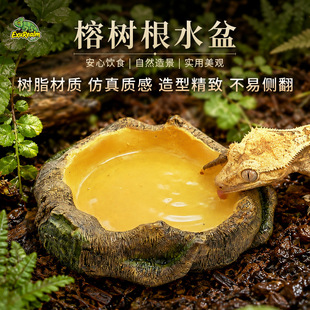 ��ľ�y����ˮ���،m����������֩����B���쾰�޽ǽ�����ˮ��ʳ��