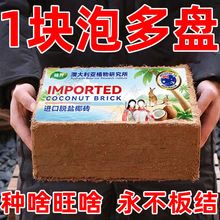 MƷ}ЙCͨҬuIBsNN˭hBx