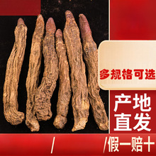 锁阳整根内蒙古阿拉善金锁阳肉苁蓉沙漠人参搭配玛咖泡酒泡茶料