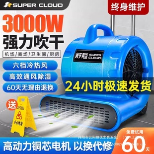 Floor blowing machine floor blowing machine drying high-power toilet toilet floor dehumidification hair dryer wholesale