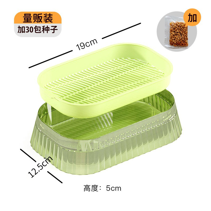 Plantas en maceta para gatos para mascotas transfronterizas, caja de plantación hidropónica sin suelo, plato de cultivo, bocadillos para gatos, menta gatera al por mayor