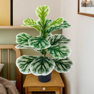 ����Gֲ���~��15Ƭ���J�~�ӹ��վە����滨���b�PVC�����ֲ��