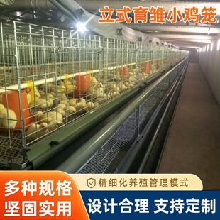 ��ʽ�������r�u�\����С���u��С�u�Bֳ�\Ҏģ���u�����r�O�䶨��