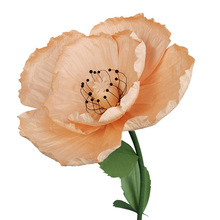 ��c�����b�����ꐲ��û�Y�F���������w���༈���滨