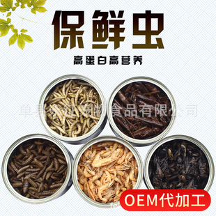Canned Preserved Breadworms, Grasshoppers, Black Water Flies, River Shrimp, Crickets, and Insects for Fish Food by the Manufacturer