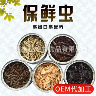 灌装保鲜面包虫蚂蚱黑水虻河虾蟋蟀昆虫罐头厂家供应鱼食