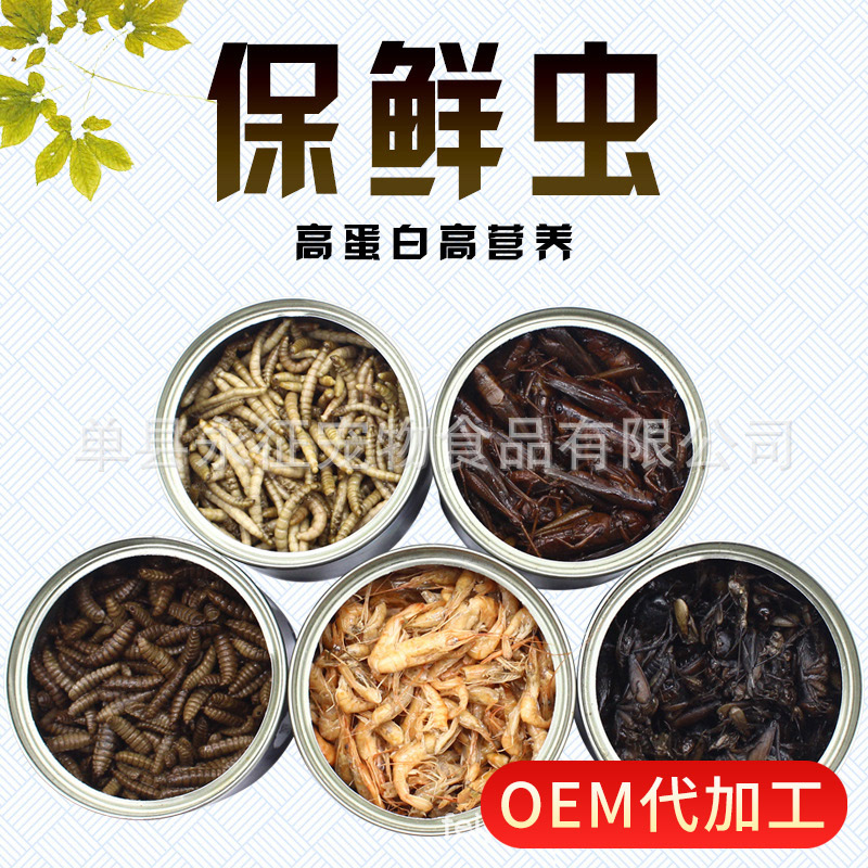 灌装保鲜面包虫蚂蚱黑水虻河虾蟋蟀昆虫罐头厂家供应鱼食