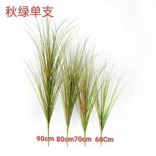 �������[�݆�֧�JȔ����Ȕ�ݲݶѲݶ�݅��bٲ��쾰�����