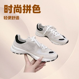 C26�¿���؈Ь���e�\��Ь�͹Űٴ������e�\����ЬС���L����r