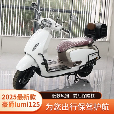 Motorcycle tail – for Haojue Suzuki Lumi125 Front