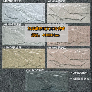 �⠝�Ӻ�400X800Ģ��dgtg18mm��e���Խ�����͹���wͥԺ�����¹�