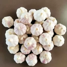 蒜;洋葱;姜