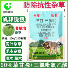 �����J��60%�ݸ�����������������������ݠ����rș�����Գ��݄�