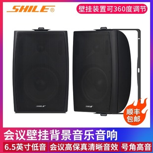 Lion music BX-102 professional audio 6.5 inch wall hanging Conference shop indoor background music speaker BX-105