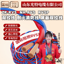 ȼRVSͻRVSPNHԴ2*1/1.5/2.5ƽpg