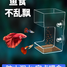 ~ιʳˮhɢ~ʳλС~Ͷι͸ͶʳȦ