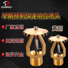 �������ƿ���푑����^�´�ʽ��ˮ�������^ESFR���������������^