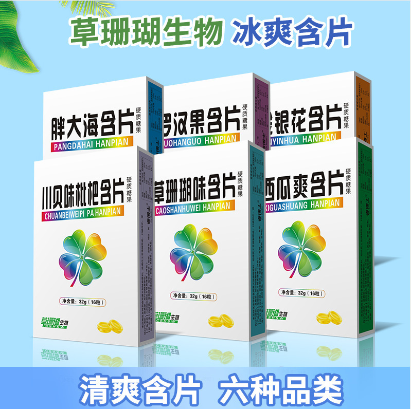 Sarcaceous coral biological honeysuckle Chubby dahlia fruit watermelon cool mint candy 16 tablets