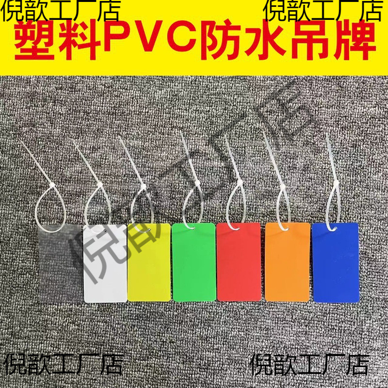 彩色塑料空白标签物流吊牌挂签快运物料挂牌锁果树植物标识牌