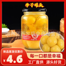 ���ӹ��^510g/�����r��ˮˮ�����^�_�޼�ʳˮ����ӶYƷ�S�����l