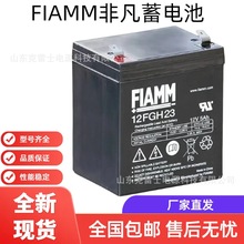 FIAMM�Ƿ���늳�12FGH23 늳�12V5AH����������������� EPS��